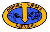 BORNEO SUBSEA SERVICES (MALAYSIA) SDN. BHD.