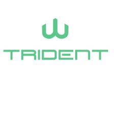 TRIDENT B.V.