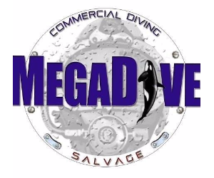 MEGADIVE LTD