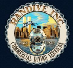 RANDIVE INC