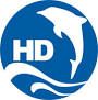 Shenzhen Head Diving Engineering Co., Ltd.