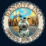 RANDIVE INC